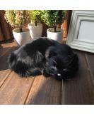 GeKLok Lifelike Simulation Sleeping Cat Toy - Realistic Soft Plush Black Cat Photography Prop - Buy Online on GoSupps.com