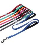 Vivaglory Traffic Handle Dog Leash - Reflective & Padded 1.8m Strong Metal Hook | Ideal for Training - Blue - Buy Online on GoSupps.com