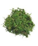 Topcomww Artificial Green Moss for Plant Crafts & Flower Centerpieces - 3.5oz - Buy Online on GoSupps.com