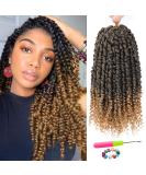 Passion Twist Hair - 14 Inch Crochet Twists (8 Packs) for Black Women - Synthetic Curly Braiding Extensions (T27) - Buy Online on GoSupps.com