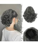 Buy BARSDAR KAMM CLIP PERSON CHANGE 22cm Synthetic Hair Extensions - Black Gray Cam Clip Pferdeschwanz - Ideal for Fashion & Versatile Styles - Buy Online on GoSupps.com