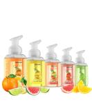 Moisturizing Foaming Hand Soap Pack - Aloe Vera & Essential Oils - Alcohol-Free Citrus Blend - Lemon, Orange, Lime, Pink Grapefruit - Kitchen/Bathroom Hand Wash - Set of 5 - Buy Online on GoSupps.com