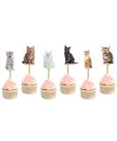 Seyal Cat CupCake Topper - Buy Online on GoSupps.com
