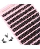Shop Glowing Win Eyelash Extensions | DIY Individual 80D Cluster Lashes | Natural 8-16mm Cat Eye Fake Eyelashes - Buy Online on GoSupps.com