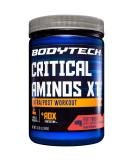 BODYTECH Critical Aminos XT Intra/Post Workout Fruit Punch - Supports Muscle Recovery (16 Ounce Powder) - Buy Online on GoSupps.com
