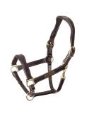 Shires Rapida Cushioned Leather Heacollar - Black & Havana Havana Cob - Buy Online on GoSupps.com