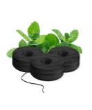 BURST Dental Floss, Expanding Refill Bobbins, Vegan, Charcoal Coated, Expanding Technology, Textured, Mint Eucalyptus, 3pk - Buy Online on GoSupps.com