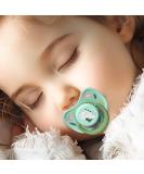 Buy Goard Silicone Pacifier for Babies 6-18 Months | Tooth-Friendly Dinosaur Design | Includes Replacement Nipple & Clips | Safe & Stylish for International Shipping - Buy Online on GoSupps.com