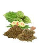 The Good Guru Bitter Melon Powder Karela Powder 250g - Organic Blood Purifier | Non GMO Momordica Charantia | Gluten Free - Promotes Healthy Lifestyle | Zip Lock Bag - Buy Online on GoSupps.com