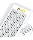 Buy 10D-C 0.05mm Pointed Base Eyelash Extensions - 3D 4D 6D 10D Volume C&D Curl | International Shipping - Buy Online on GoSupps.com