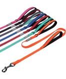 Vivaglory Traffic Handle Dog Leash - Reflective Padded Strong Metal Hook - 1.2m Orange Training Line for Dogs - Buy Online on GoSupps.com
