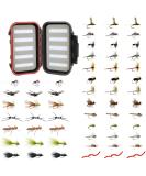 Wild Water Fly Fishing Mini-Mega Assortment 60 Most Popular Flies with Small Fly Box - Dry, Caddis, Nymph, Wooly Bugger for Trout, Panfish, Crappie, Sunfish - Buy Online on GoSupps.com