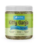 Raw Paws Pet Natural Catnip 1-oz - Premium Loose Catnip Leaf for Cats - Potent Refill for Toys - Cat Catnip Herb Dried - Buy Online on GoSupps.com