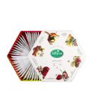 Acorus Summer Taste Tea Set | Natural Fruit Tea Gift Set | 6 Flavors | 60 Tea Bags | Premium Tea Range | International Shipping Available - Buy Online on GoSupps.com