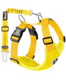 Buy Slowton Dog Harness with Safety Belt for Car - Breathable Latex Puppy Harness for All Sports (Yellow S) | Shop Now - Buy Online on GoSupps.com