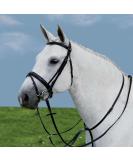 Waldhausen Star Martingal Schwarz f r Pony | Hochwertige Reitzubeh r f r internationale Lieferung - Buy Online on GoSupps.com