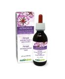 Naturalma Astragalus (Astragalus membranaceus) Root Alcohol-Free Tincture 4 fl oz Liquid Extract in Drops | Herbal Supplement | Vegan | Product of Italy Alcohol-free 4 Fl Oz - Buy Online on GoSupps.com