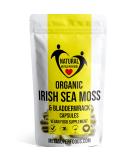 Sea Moss and Bladderwrack 60 Capsules (3600mg) High Potency | Vegan | Non GMO | No Binders No Fillers No Additives | Dr Sebi - Buy Online on GoSupps.com