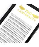 Buy Finished Eyelash Compartments 3D 4D 5D 6D - Volume Extensions 0.07 & 0.10 - 15mm Eyelash Extensions - Buy Online on GoSupps.com