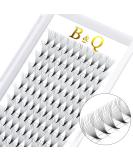 12D-D Eyelash Extensions - 3D 4D 6D & 10D Volume Lashes | 0.05-0.10mm C&D Curl - International Shipping - Buy Online on GoSupps.com