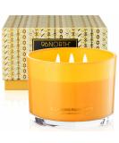 96NORTH Luxury Palo Santo Candle | 3-Wick Jar | Up to 50 Hours Burn Time | 100% Soy Wax | Aromatherapy Candle Gift - Buy Online on GoSupps.com