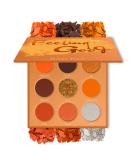 MAKI YIKA 9-Color Orange Glitter Matte Eyeshadow Palette - Long-Lasting, Highly Pigmented Smokey Eye Shadows for Waterproof Makeup - Buy Online on GoSupps.com