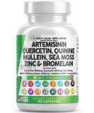 Immune Support Supplement with Artemisinin, Quercetin, Zinc, Mullein, Quinine, and Key Nutrients - 2500mg - 1000mg - 100mg - Made in USA - Buy Online on GoSupps.com