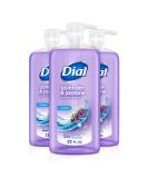 Dial Lavender & Jasmine Body Wash - 23 fl oz (Pack of 3) | Refreshing & Moisturizing - Buy Online on GoSupps.com