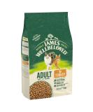 James Wellbeloved Adult Turkey 1.5 kg Bag Hypoallergenic Dry Cat Food Turkey 1.5 kg (Pack of 1) - Buy Online on GoSupps.com