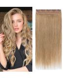 Hair Parts Real Hair Clip-In Extensions - 1PC 5 Clips Thick 7A Human Hair 25cm Length 65g - Dark Blonde #27 - Buy Online on GoSupps.com
