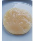 Buy Jun Mushroom Scoby - Premium Kombucha Tea Mushroom for Refreshing Fermented Drinks | International Shipping Available - Buy Online on GoSupps.com