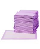 Amazon Basics 40 Pack Disposable Cat Feces Bags Rapid Drying Lemon Scented Purple & White - Buy Online on GoSupps.com