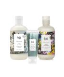 R+Co Gemstone Color Shampoo & Conditioner Set | 8.5 Oz + Waterfall Travel Size | Vegan Cruelty-Free | Prolonged Color Vibrancy & Hair Repair - Buy Online on GoSupps.com