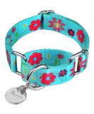 Adjustable Martingale Dog Collars | Heavy-Duty Soft & Smooth for Large & Small Dogs - Blue-Green & Sunflower - Buy Online on GoSupps.com