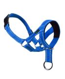 ILEPARK Dog Halter for Training | Adjustable Colorful Head Harness to Stop Pulling | Easy to Use | Size M - Blue - Buy Online on GoSupps.com