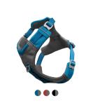 Kurgo Journey Air Dog Harness - Padded Chest & Back Handle for Active Dogs - Size XL Blue | International Shipping Available - Buy Online on GoSupps.com
