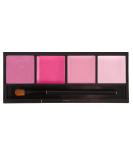 Coastal Scents Lip Quad - Juicy Pink | Long-lasting Lip Color Palette - Buy Online on GoSupps.com