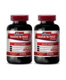 Buy Creatine Alpha-Ketoglutarate - Tri Phase Muscle Growth & Recovery - Unflavored Creatine Monohydrate Pills - 2 Bottles of 180 Tablets for Optimal Performance - Buy Online on GoSupps.com