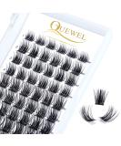 Eyelashes Individual QueWEL Individual eyelashes lashes curl mix8-16 eyelash segments wide foundation individual eyelashes for eyes make-up diy eyelash extensions (of course 03-c-mix) 1 piece (1 Pack) natural 03-c-mix 8-16mm - Buy Online on GoSupps.com