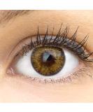Glamlens Palermo Brown Braun + container |Very strongly covering natural brown contact lenses colored |Colored silicone hydrogel |1 pair (2 pieces) |Dia 14.00 |Without starch - Buy Online on GoSupps.com