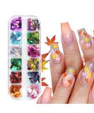 ACDOKUK 12 Colors Autumn Blatt Nail Art Glitter Sequins Perfect Thin Decals for Stunning Autumn Nail Art Decoration - Buy Online on GoSupps.com