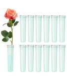 BEADNOVA Green Flower Water Tubes - 2.8 Inch Plastic Vials for Floral Arrangement (60 Pcs) - Buy Online on GoSupps.com