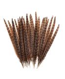 AWAYTR 20pcs Natural Pheasant Feathers - Pheasant Tail 8-11inch(21-28cm) for DIY Decoration (Female Pheasant Tail) Female Pheasant Tail 8-11inch(21-28cm) - Buy Online on GoSupps.com