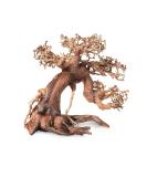 Aquarium Wood Bonsai Tree Decoration Premium Pieces Aquascaping Root Iwagumi Tree L 30x25x20cm - Buy Online on GoSupps.com