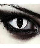 Buy White Cat Eye Halloween Costume Contact Lenses - Soft Alien Color 1 Pair - No Prescription Needed - Buy Online on GoSupps.com