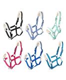 Buy RL24 Halter with Plush Padding | BASICLINE in 6 Colors for Shetland Pony Thoroughbred Warmblood - Baby Blue Available - Buy Online on GoSupps.com