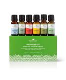 Shop Plant Therapy Wellness Essential Oil Gift Set - 6 Popular Blends for Immunity & Relaxation | International Shipping Available - Buy Online on GoSupps.com