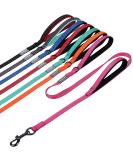 Vivaglory Traffic Handle Dog Leash | Reflective Padded Handles & Metal Hook | 1.8m Strong Training Leash for Dogs - Pink - Buy Online on GoSupps.com