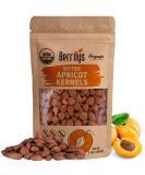 USDA Organic Bitter Apricot Kernels 1 lb (16 oz), Natural Bitter Apricot Seeds, Vegan, Non-GMO, Gluten Free - Buy Online on GoSupps.com