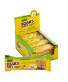 SOAK'd Oats Healthy Breakfast Bars - Box of 16 x 42g Gluten Free Apple & Raisin Baked Flapjack Healthy Snacks. Deliciously Chewy & Gut Friendly High Fibre Oat Bars for Lunck Box Gym - Buy Online on GoSupps.com
